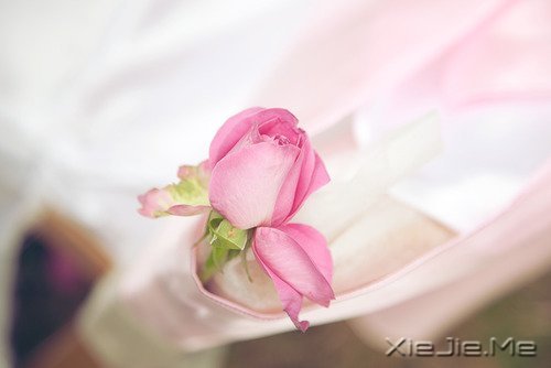一心一意,是世界上最温柔的力量 (5)