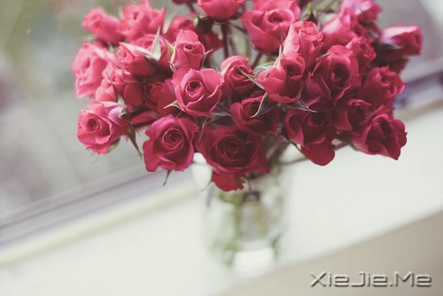 人生旅途,花香满径 (9)