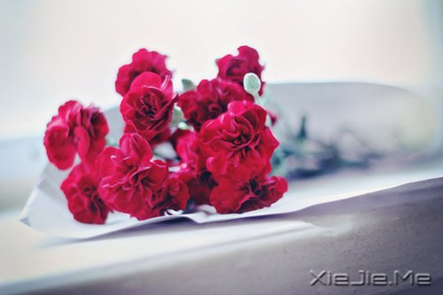 ÿ���˶����Լ�����������ů��֪ (8)