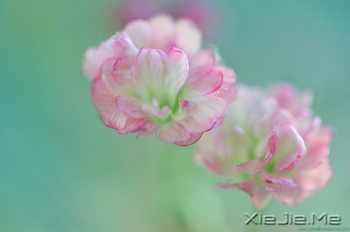 经过人生的荒凉,才能抵达内心的繁华 (2)